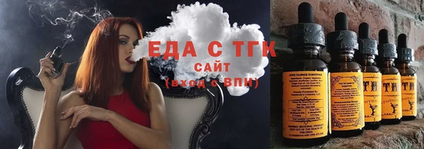 индика Богородицк