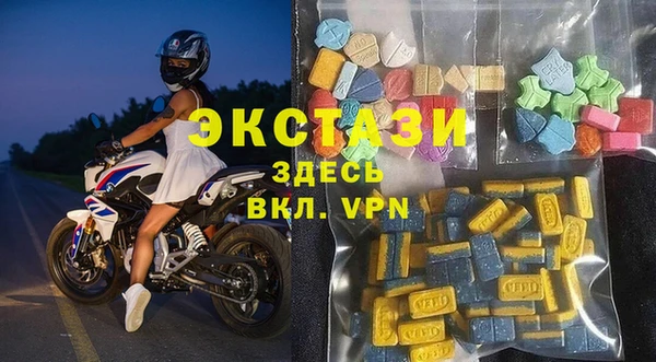 индика Богородицк