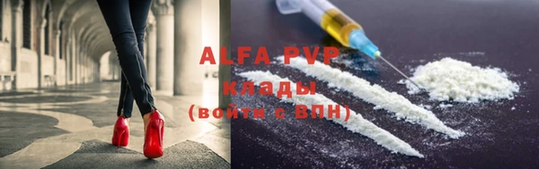 индика Богородицк