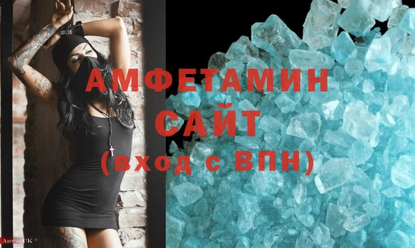 индика Богородицк