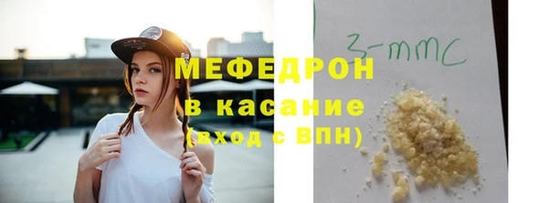индика Богородицк