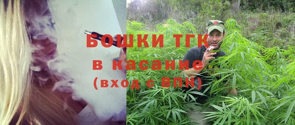 индика Богородицк