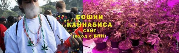 индика Богородицк