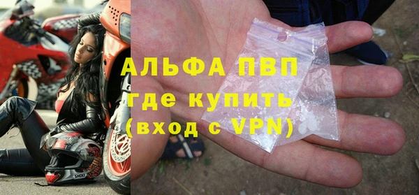 индика Богородицк