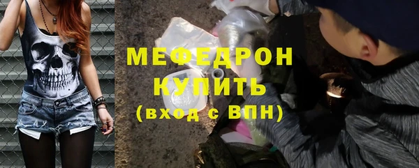 индика Богородицк