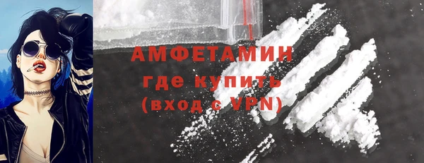 индика Богородицк