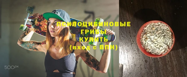 индика Богородицк