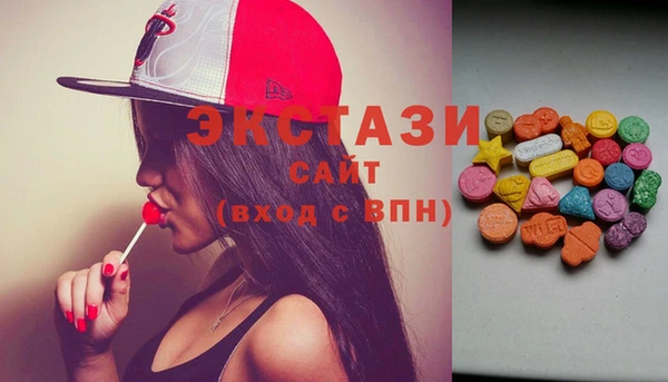 индика Богородицк