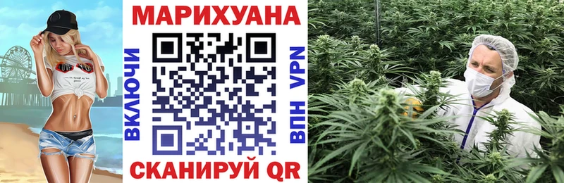 Бошки марихуана THC 21%  купить   Ейск 